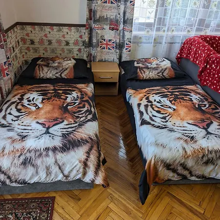 Imagina * Ratboř